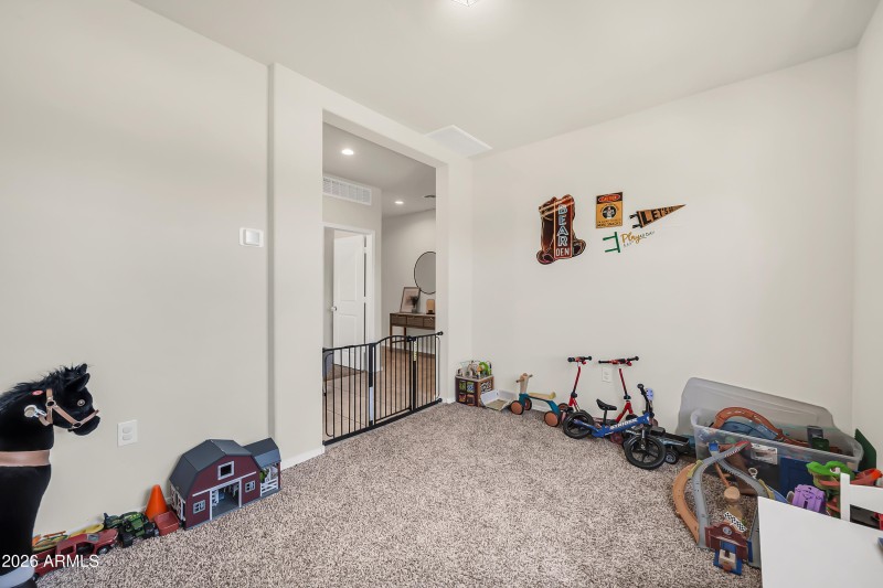 24653 N Alfalfa Dr-27