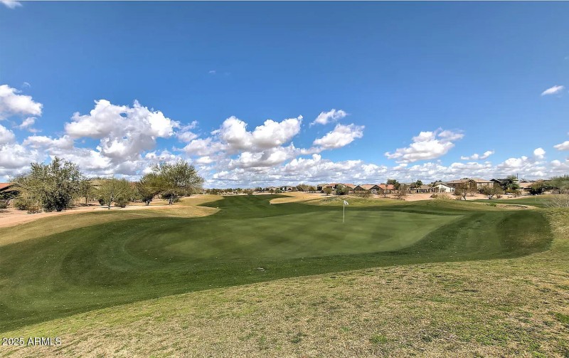 321cbb92a9325376e85f72a020083482-uncropp