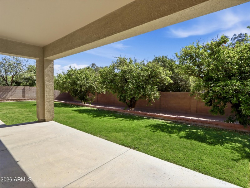 Back Patio and Orange Trees