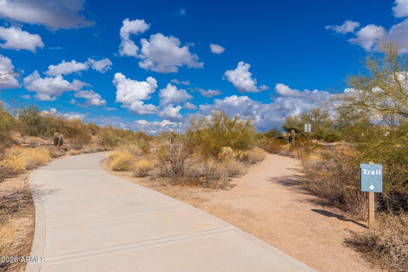 Tesoro at Greyhawk - 24