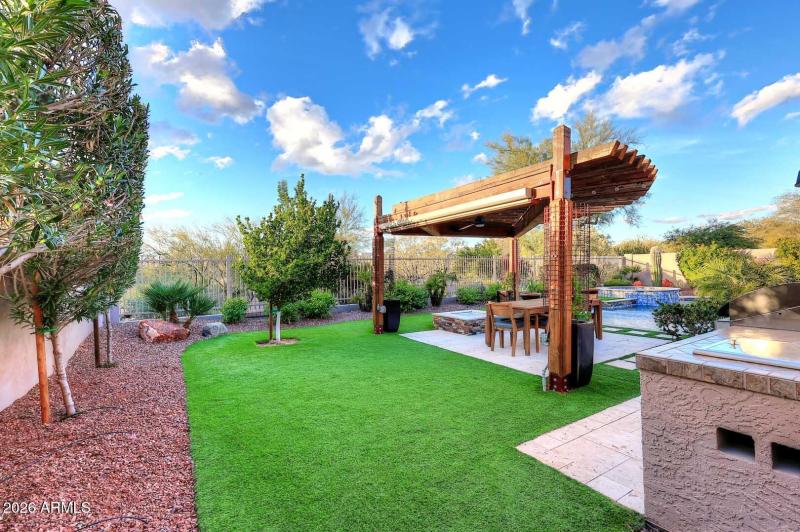 No maintenance grass