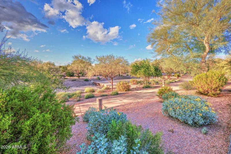 Open Space behind Home