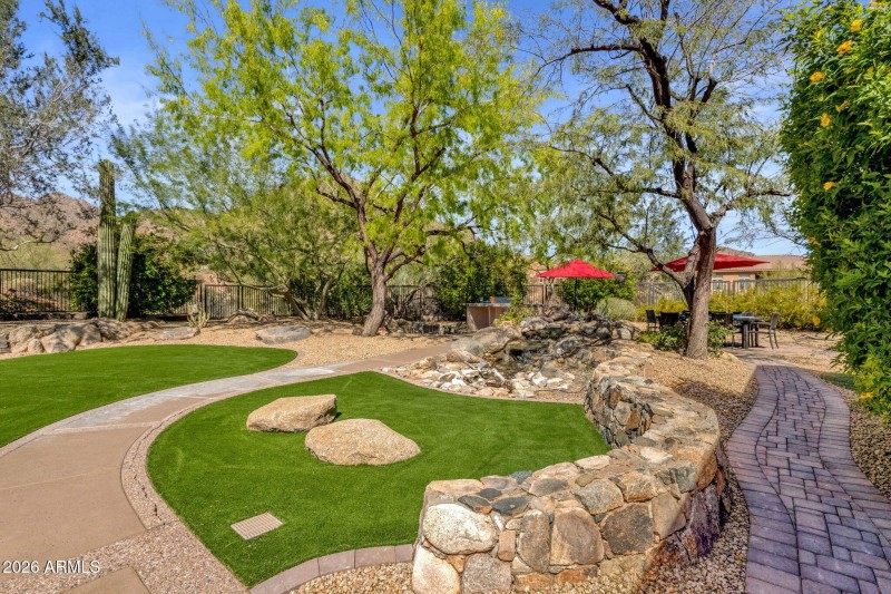 Turf in Backyard