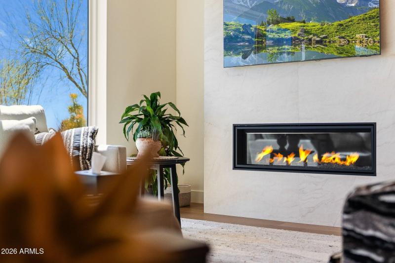 Great Room Fire Place