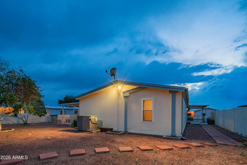 wyattrootimagaing_S88-56