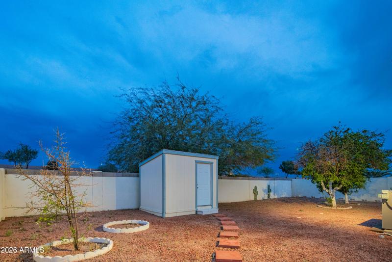 wyattrootimagaing_S88-58