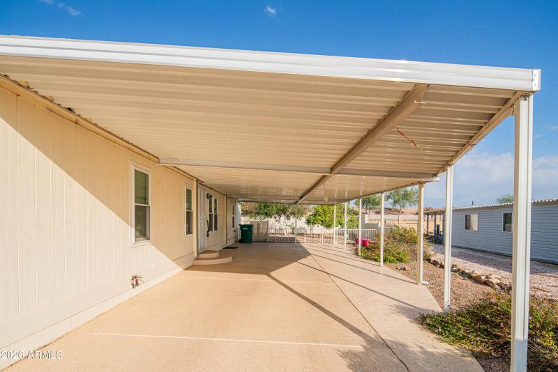 wyattrootimagaing_S88-4