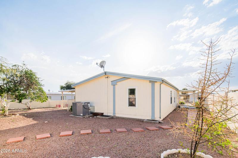 wyattrootimagaing_S88-9