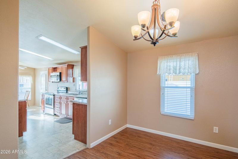 wyattrootimagaing_S88-41