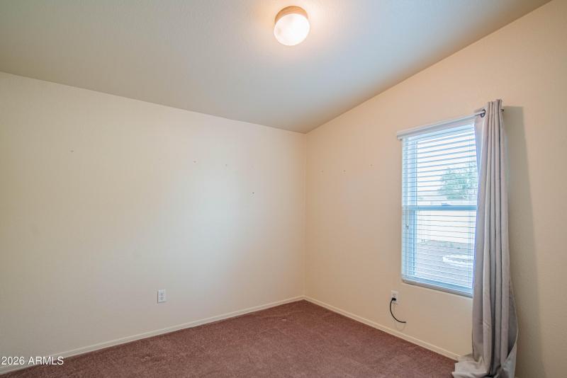 wyattrootimagaing_S88-42