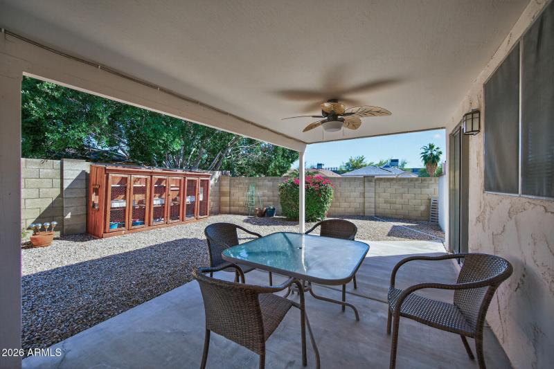 Back Yard 2 From Patio