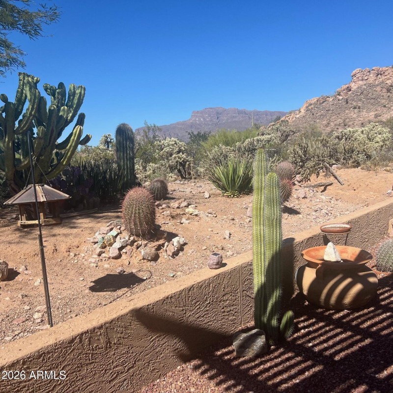 5098 E Red Yucca Lane back