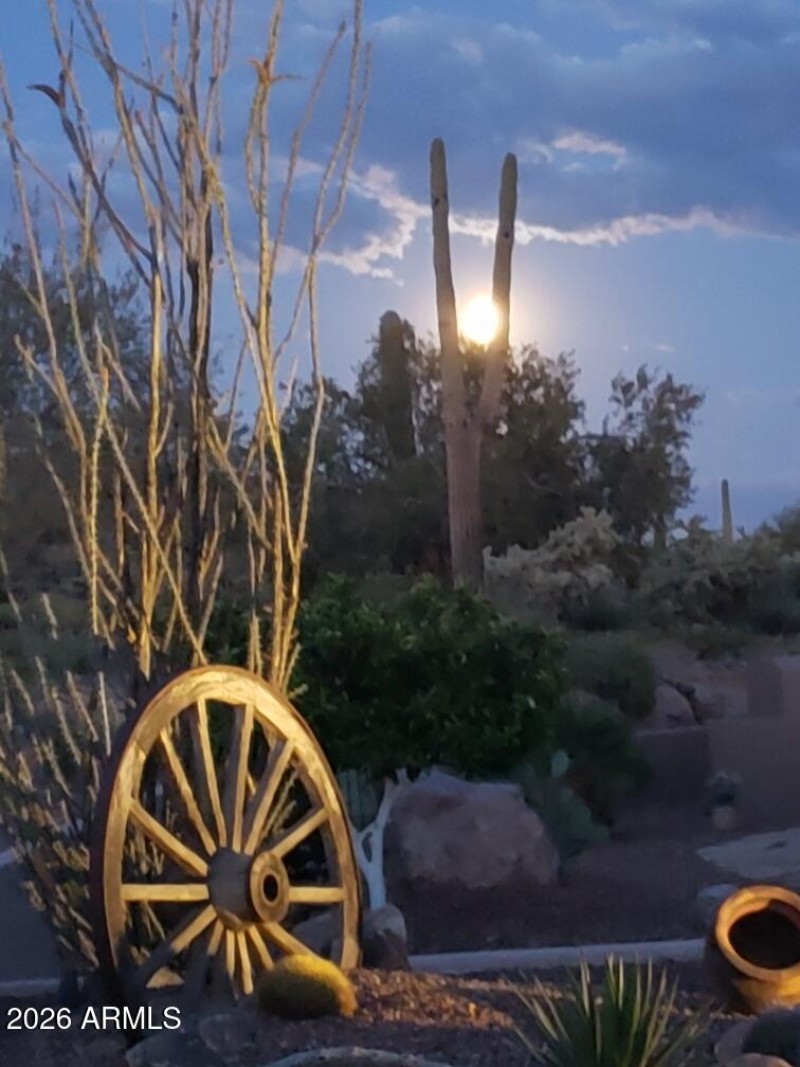 Red YUcca cactus moon