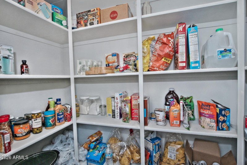 5871 W Cactus Wren Way-large-045-045-Hug