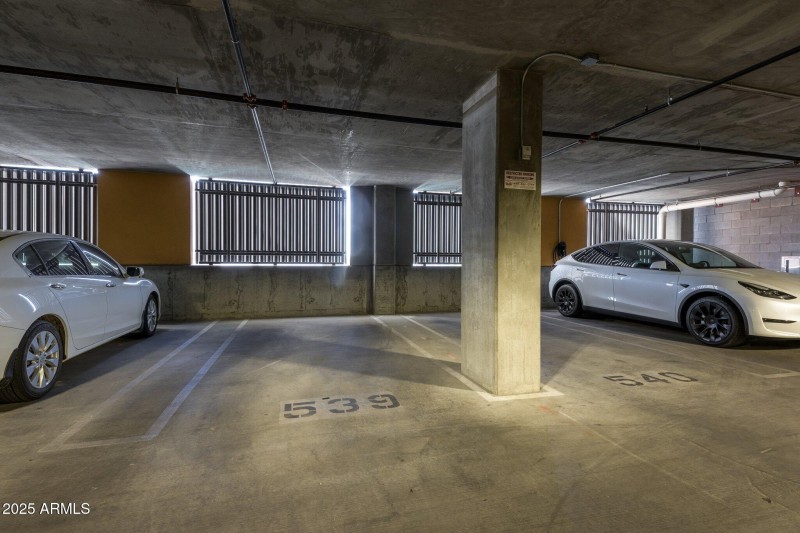 17-web-or-mls-7D3A9548