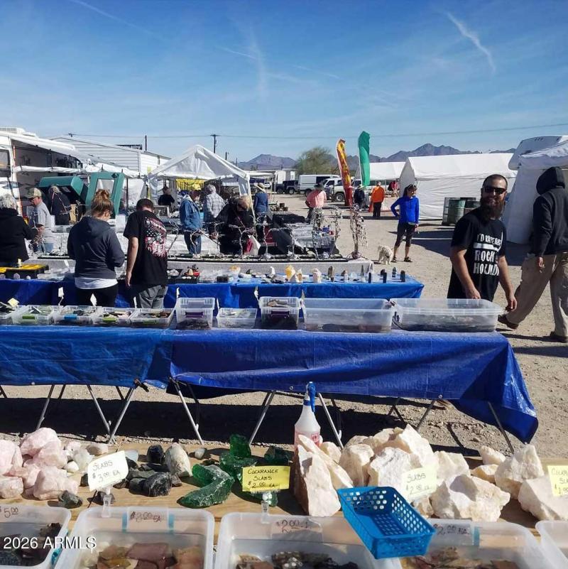 dg-rock-gem-mineral-shows-of-the-past-2