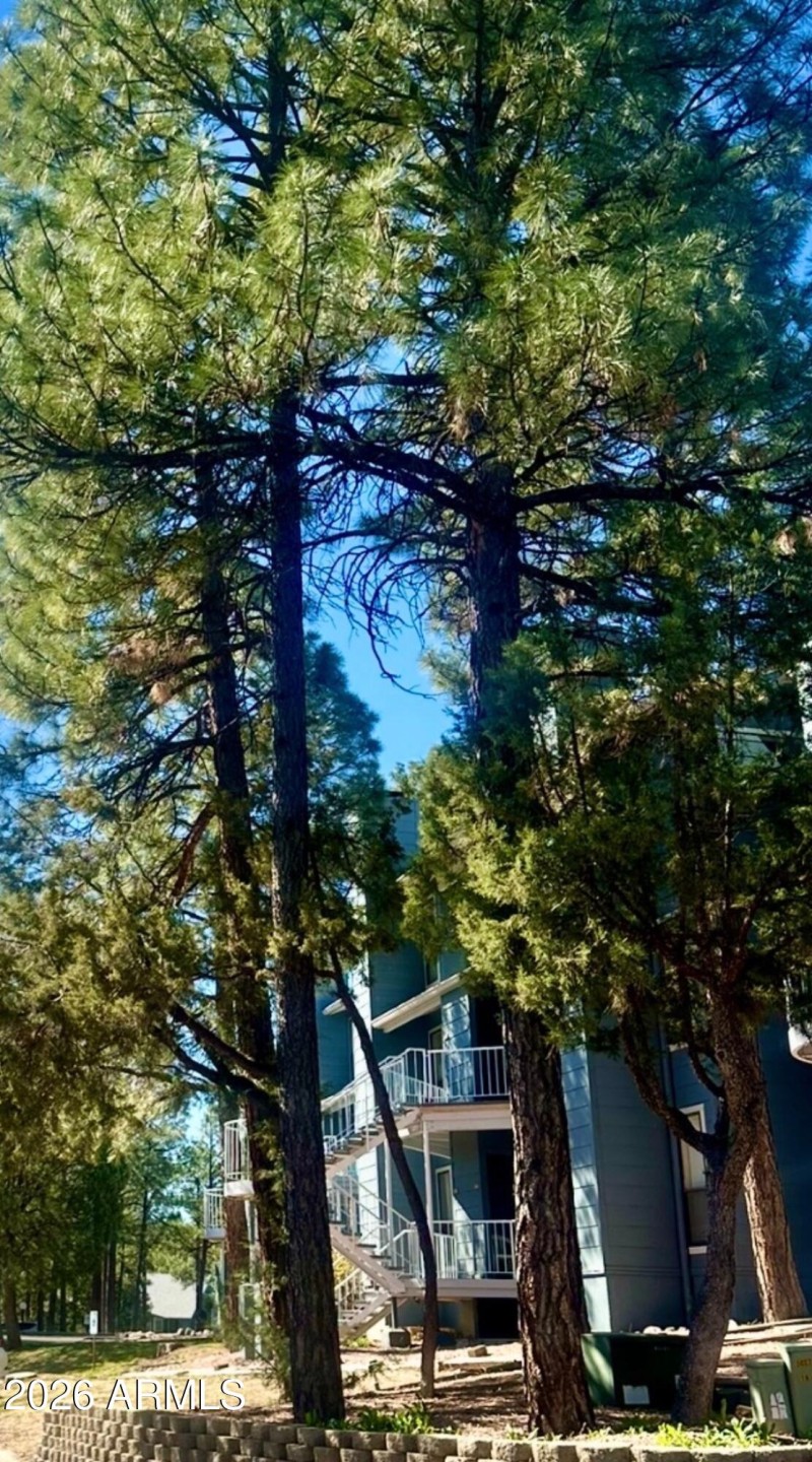 The Pines at Show Low