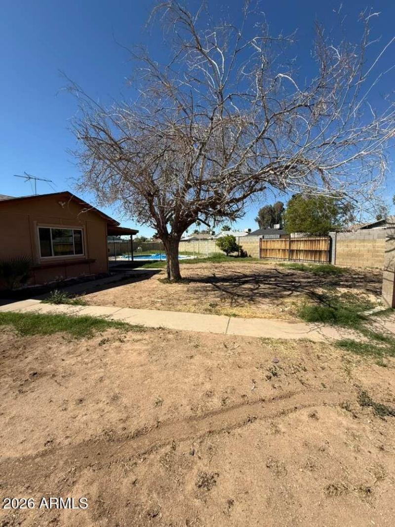 WhatsApp Image 2026-03-13 at 2.00.40 PM