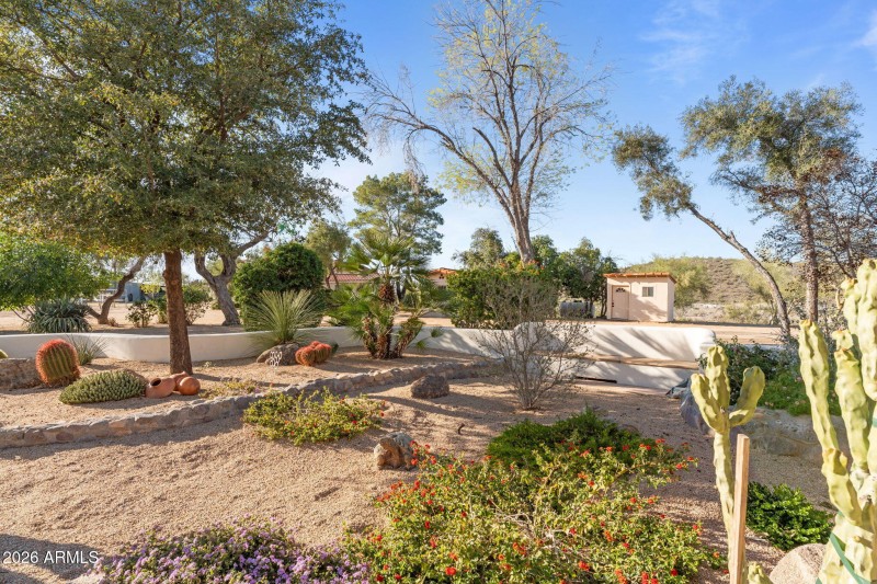 107-web-or-mls-DSC09466