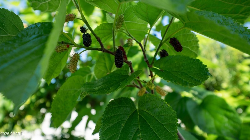 637 S Copper Dr Exterior Photos-17