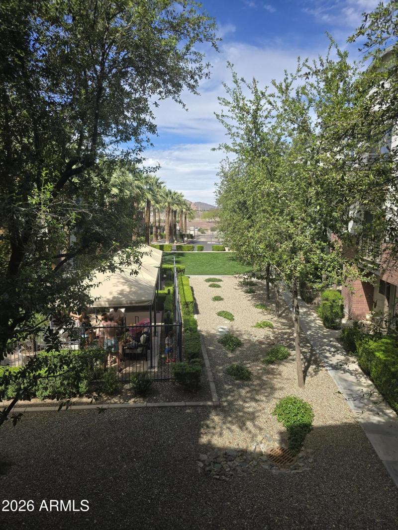 View from Great Room