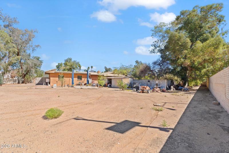 High wall & line of trees