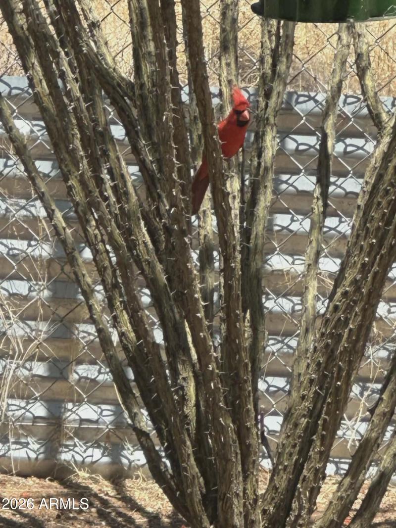 Natures Beauty Visit