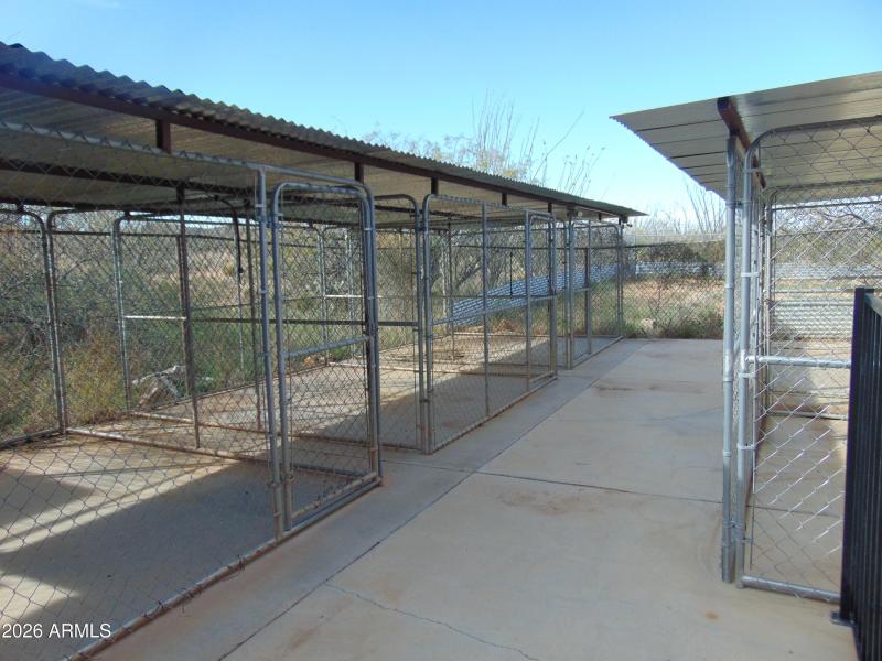 Kennels with open fenced run area
