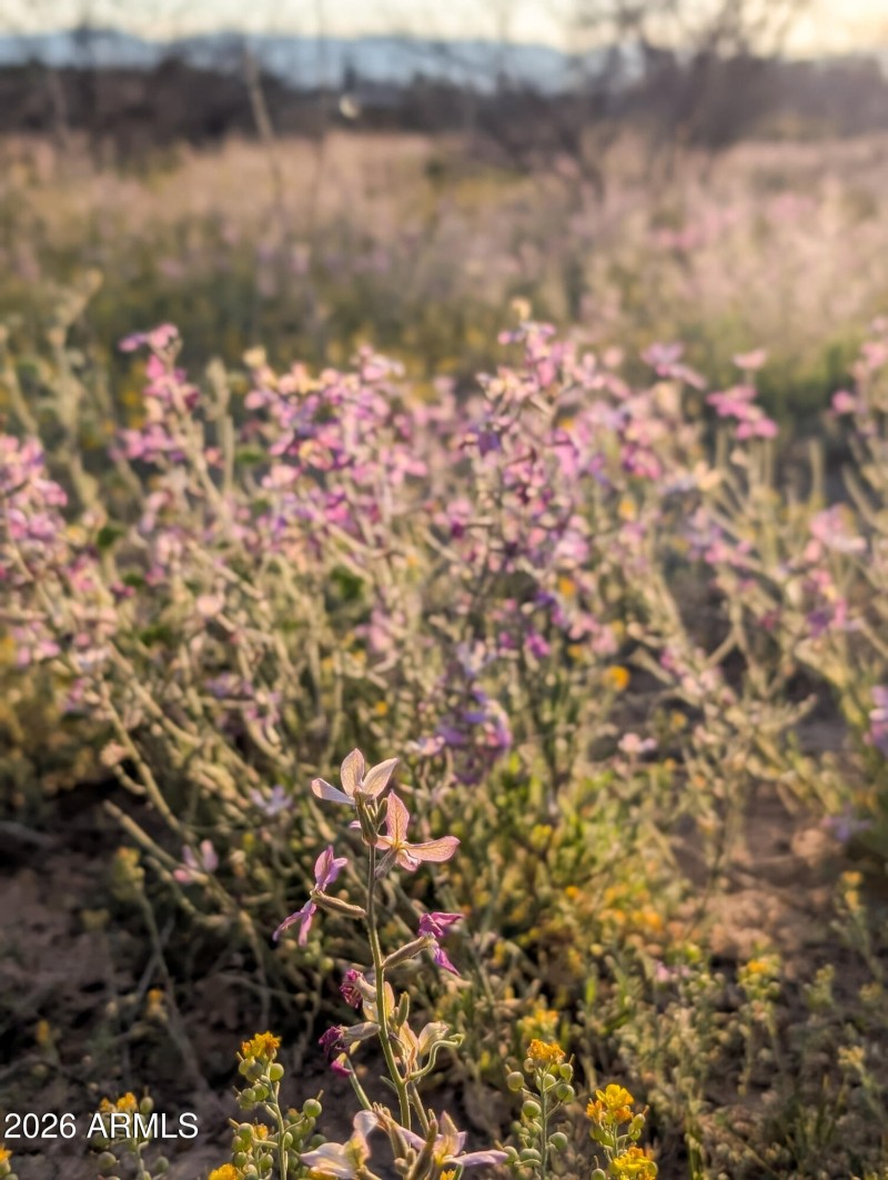 1-PXL_20260317_005346068