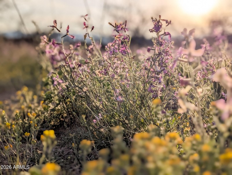 2-PXL_20260317_005352166