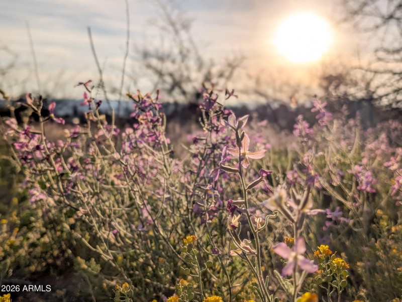 3-PXL_20260317_005355228