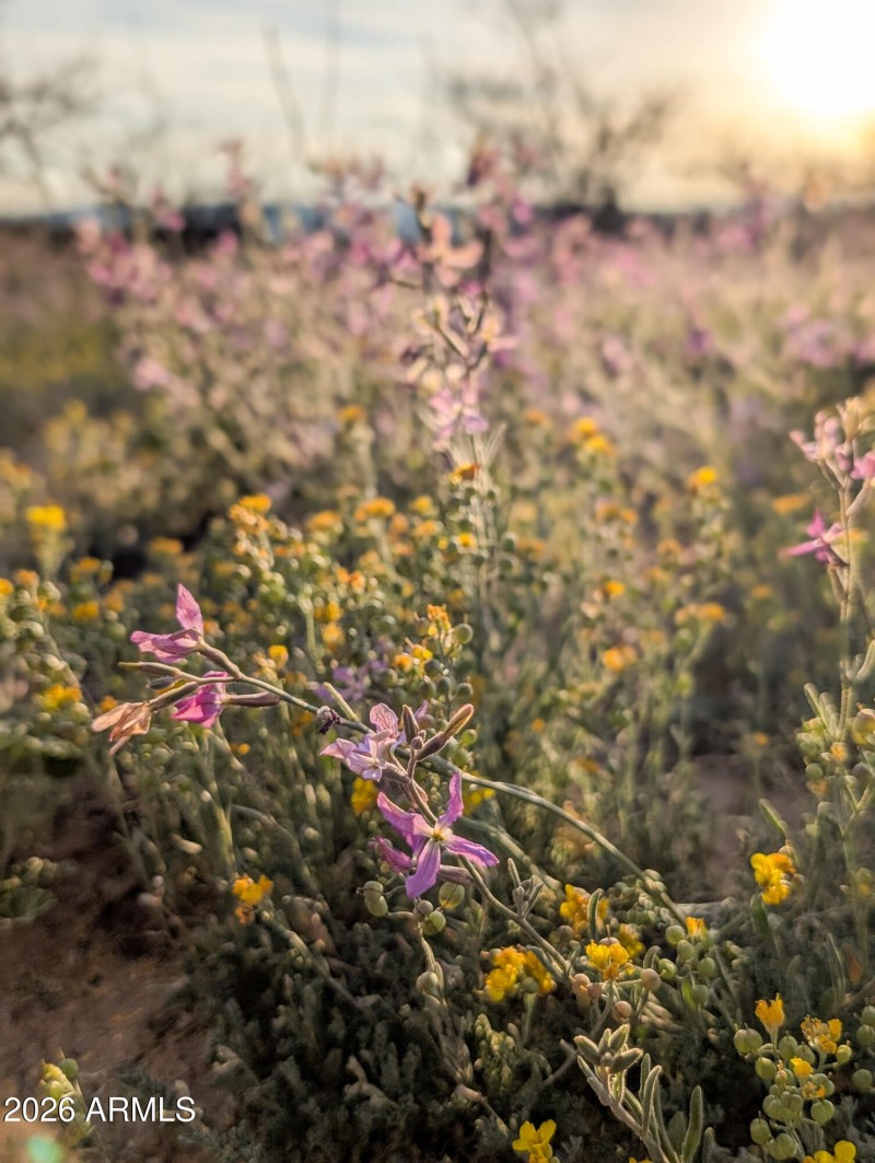 4-PXL_20260317_005432829