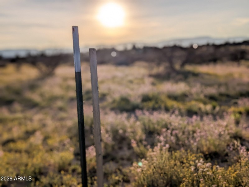 5-PXL_20260317_005539333