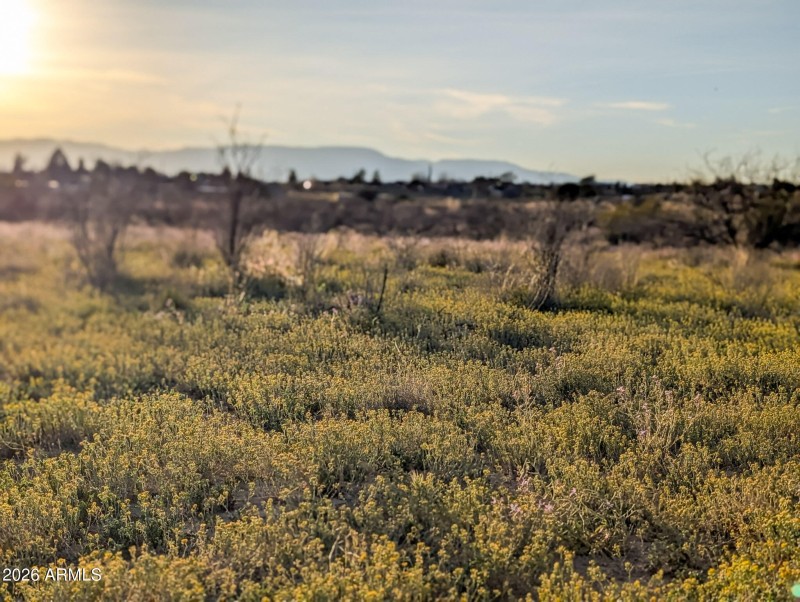 11-PXL_20260317_005654386