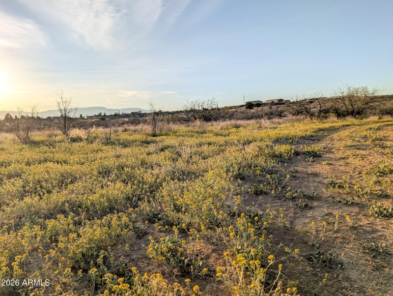 12-PXL_20260317_005705920