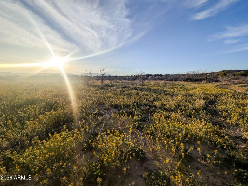 14-PXL_20260317_005723449