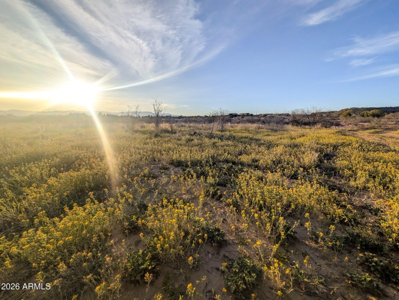 15-PXL_20260317_005726137