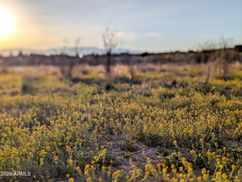 16-PXL_20260317_005731330