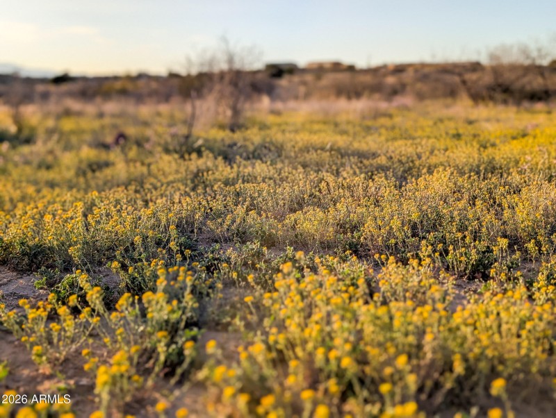 17-PXL_20260317_005733231