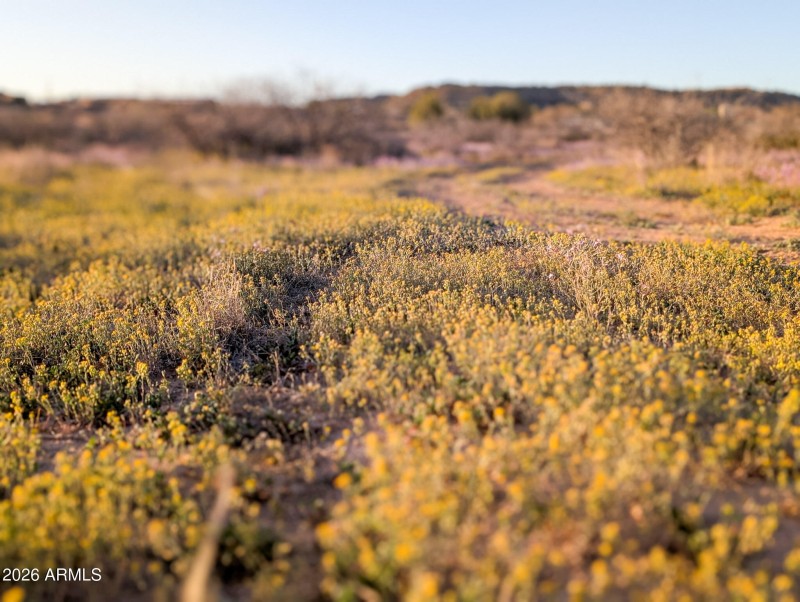 18-PXL_20260317_005735032