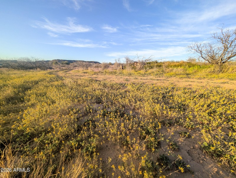 19-PXL_20260317_005743152