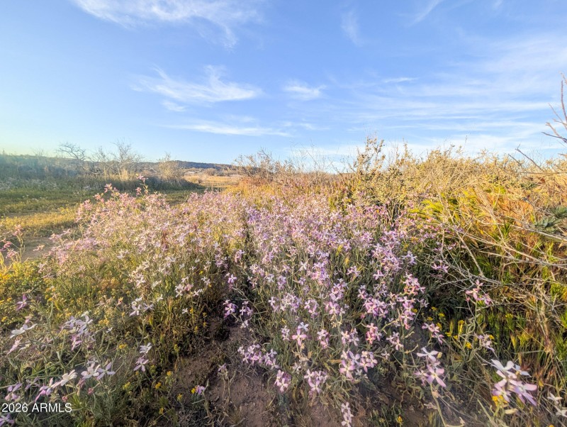 20-PXL_20260317_005831761