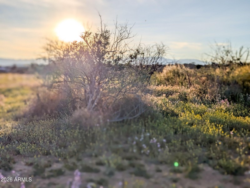 23-PXL_20260317_005844300