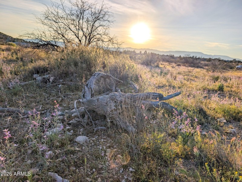 24-PXL_20260317_005944934