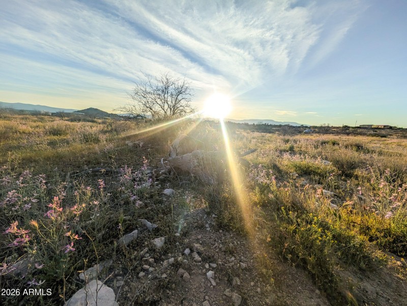 25-PXL_20260317_005948847