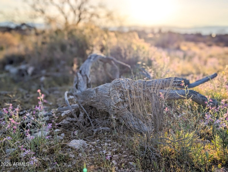 26-PXL_20260317_005955531