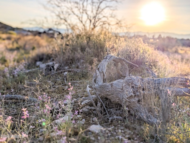 27-PXL_20260317_010000445