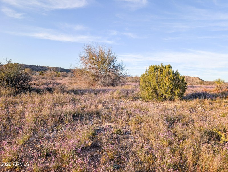 31-PXL_20260317_010047249