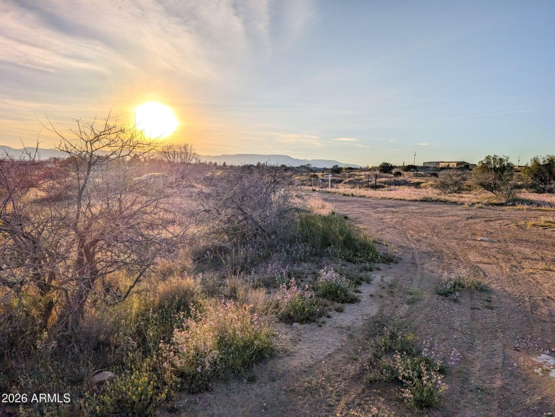 37-PXL_20260317_010219409