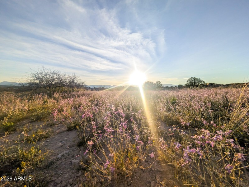 42-PXL_20260317_010342610